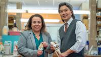 Researchers Nadeen Chahine and Clark Hung hold knee prosthetics